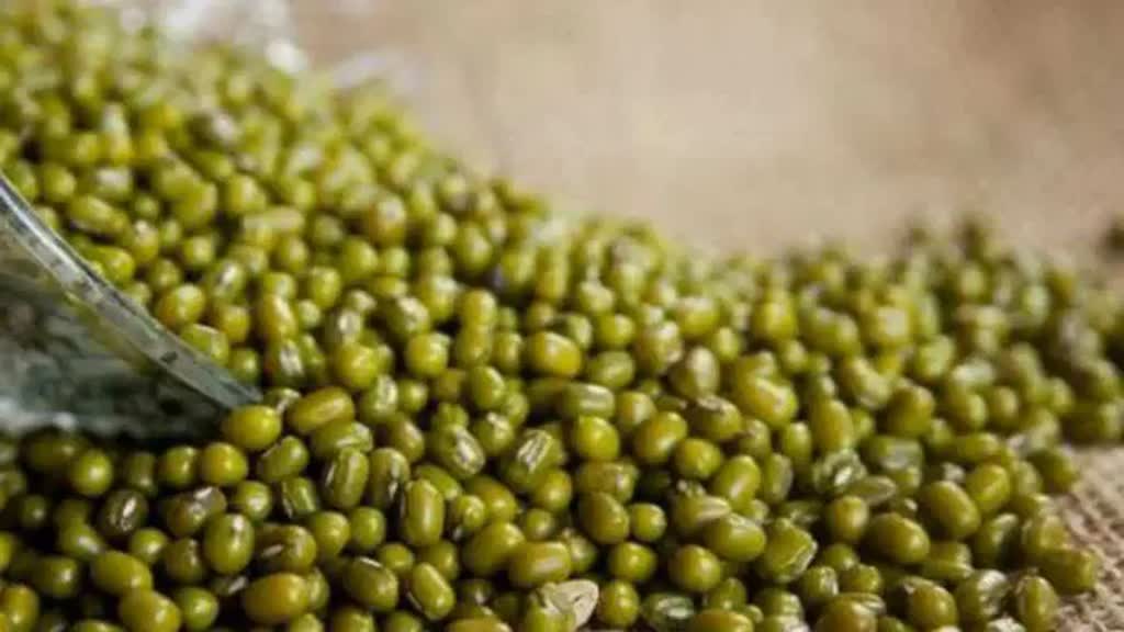 किसानों के लिए अच्छी खबर, 12 जून से शुरू होगी समर्थन मूल्य पर मूंग की खरीदी