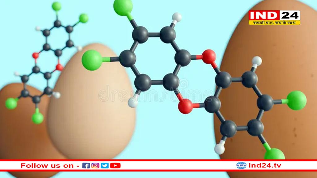 फूड चेन में टॉक्सिन की उपस्थिति और DNA पर इसका प्रभाव