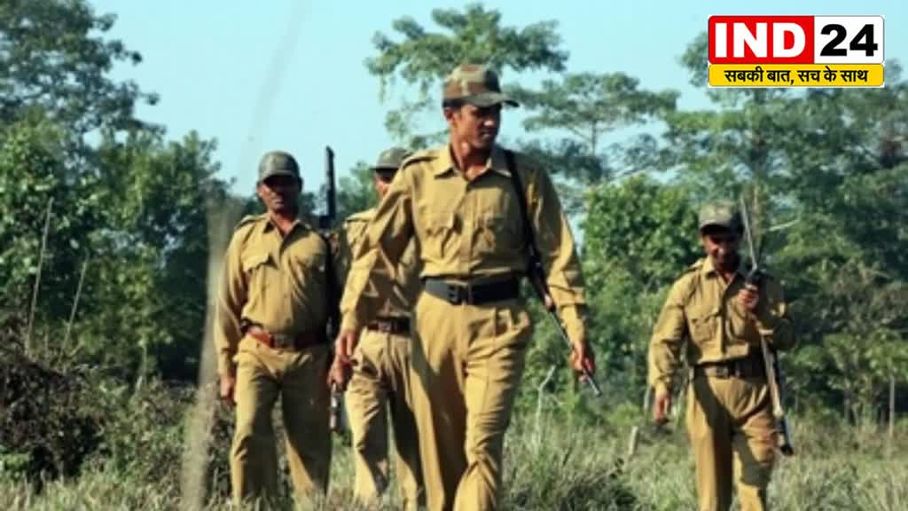 CG News : छत्तीसगढ़ वन विभाग ड्राइवर भर्ती के लिए ऑनलाइन आवेदन प्रक्रिया 20 मई 2023 से शुरू....