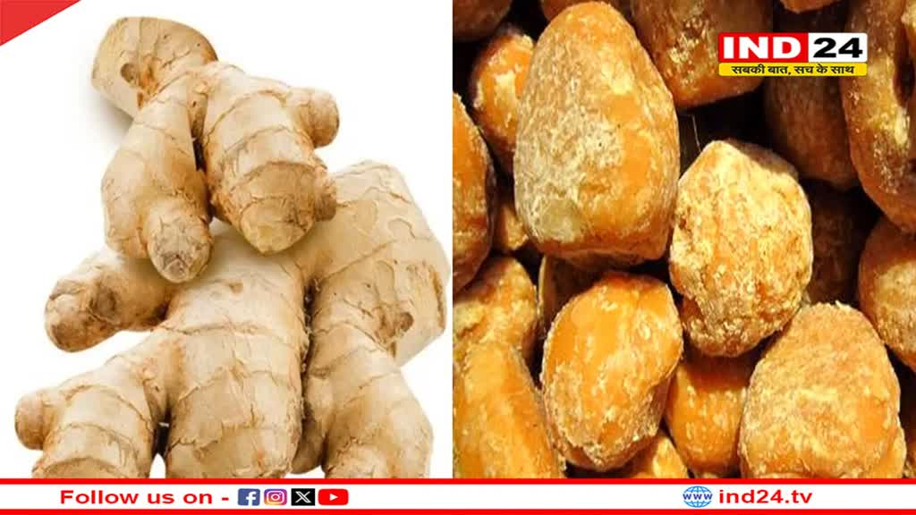 Winter Food: सर्दियों में इन चीजों का जरुर करें सेवन, शरीर रहेगा गर्म