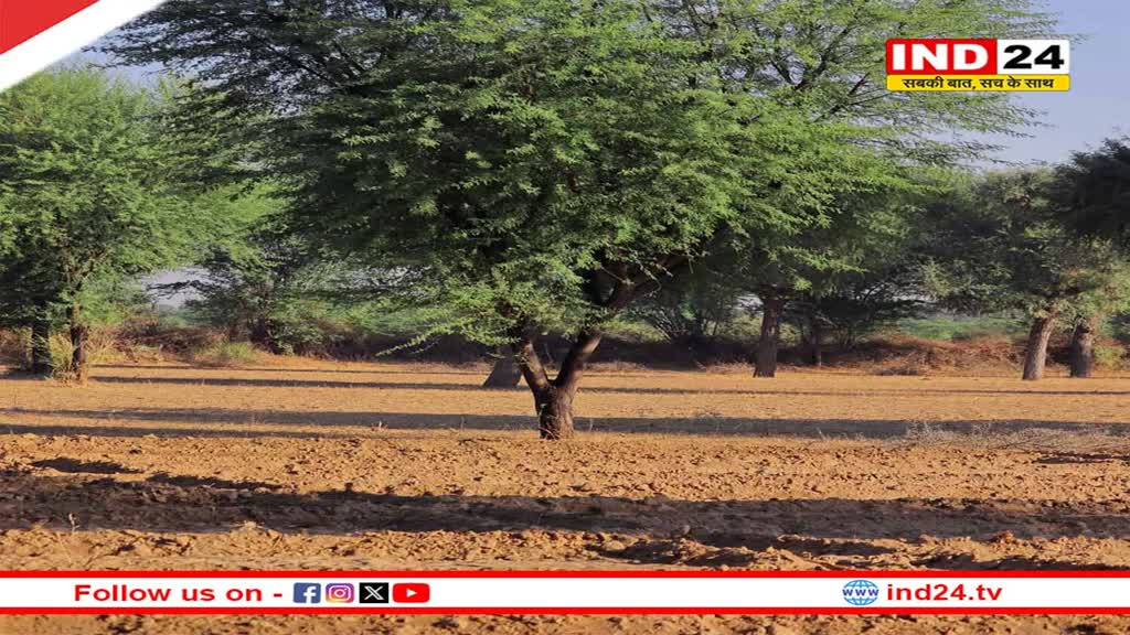 स्मार्ट सिटी करवा रही है इंदौर में पेड़ों की गणना, हर पेड़ की सेहत पर रखेंगे नजर