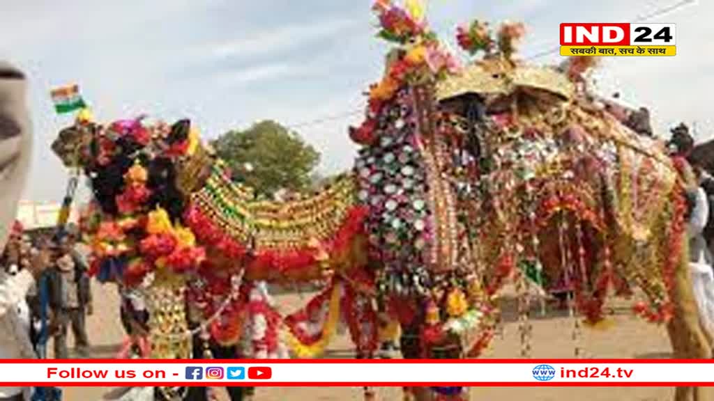 15 फरवरी से शुरू हो रहा है नागौर पशु मेला, वीकेंड में यहां घूमने का बना सकते हैं प्लान