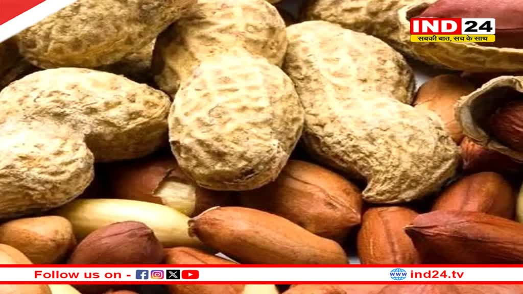 सर्दी में ज्यादा मूंगफली खाते हैं तो हो जाए सावधान ! जानें इसकी वजह