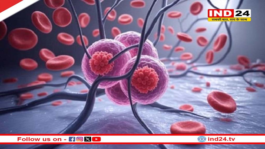 भारत ने किया कमाल: कैंसर मरीजों के लिए उम्मीद की किरण,अब AI बताएगा ट्यूमर के अंदर का सच