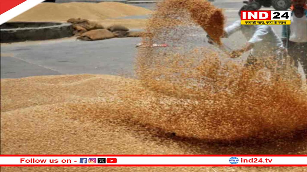 मध्यप्रदेश सरकार का किसानों को बड़ा तोहफ़ा, 2600 रुपये क्विंटल MSP पर होगी गेहूं खरीदी, मुख्यमंत्री डॉ. मोहन यादव ने किया ऐलान