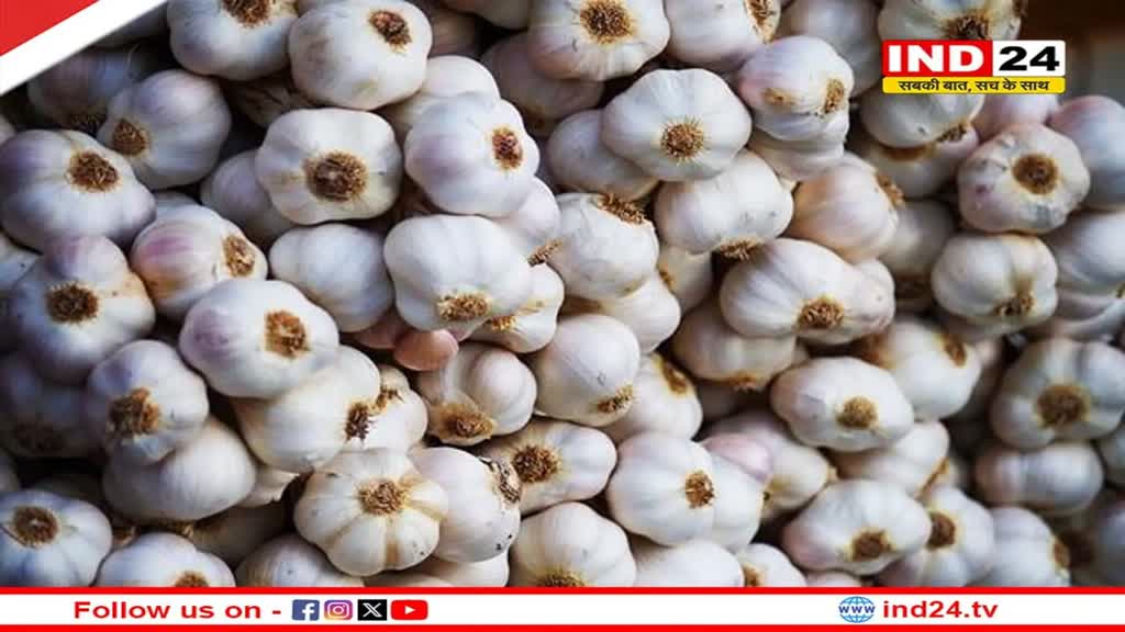 MP News: सब्जी के दामों में जबरदस्त उछाल, लहसुन पहुंचा 400 रुपए किलो