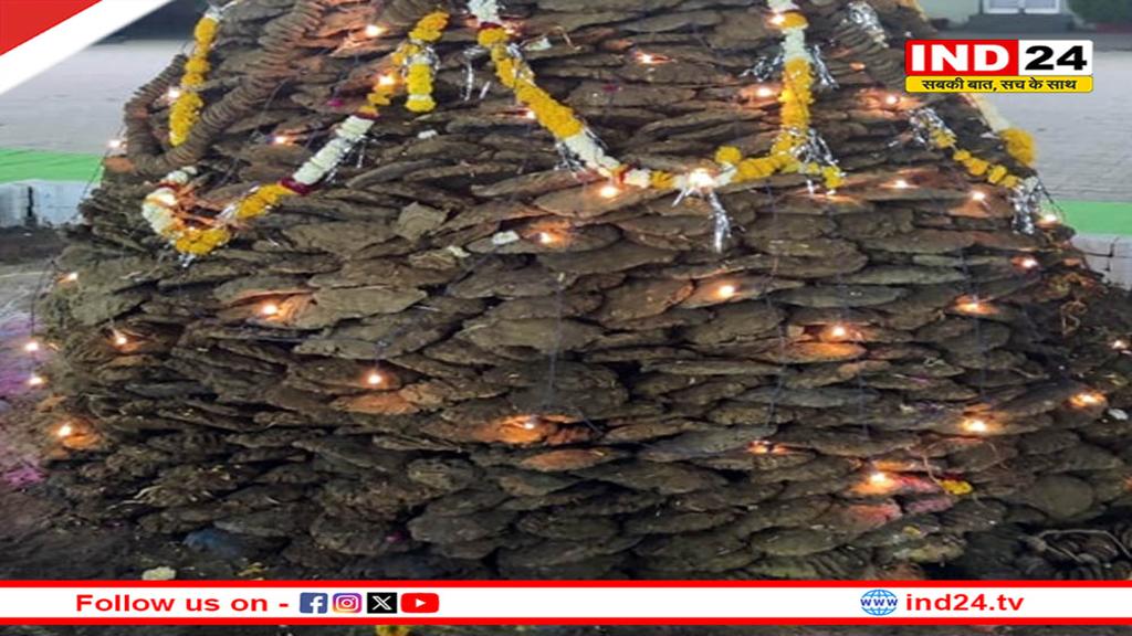 पर्यावरण संरक्षण का संदेश: गोशाला में होली के तैयार हो रहे कंडे और गौकाष्ठ