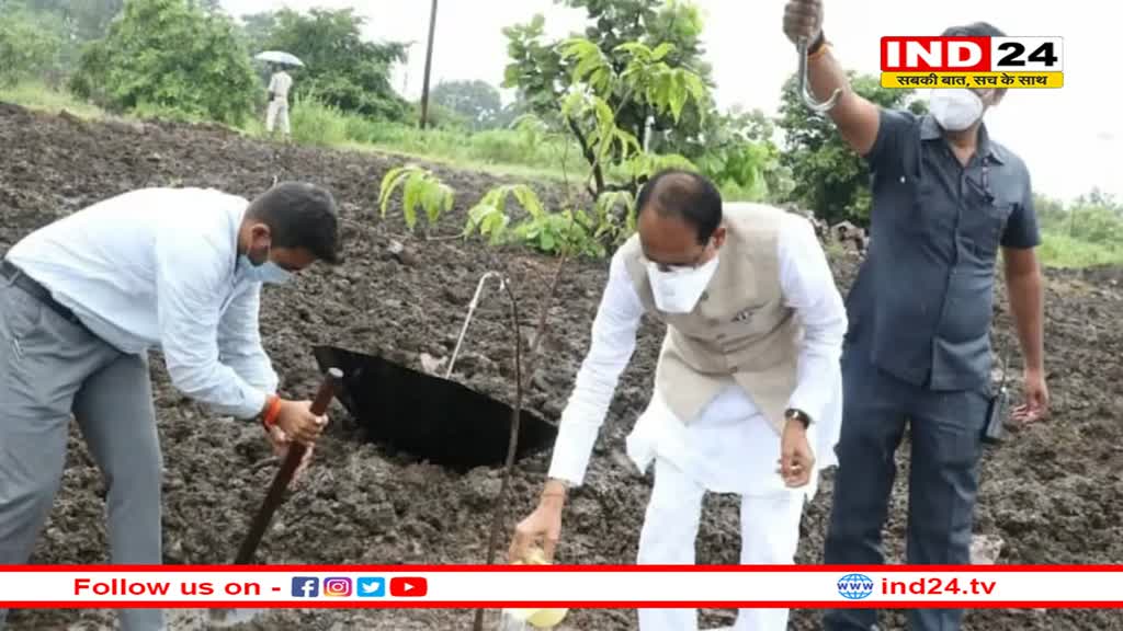 प्रकृति प्रेमी भी हैं लाडली बहनों के लाडले भैया शिवराज: पौधे को पेड़ बनते हुए देखा तो भावुक हुए