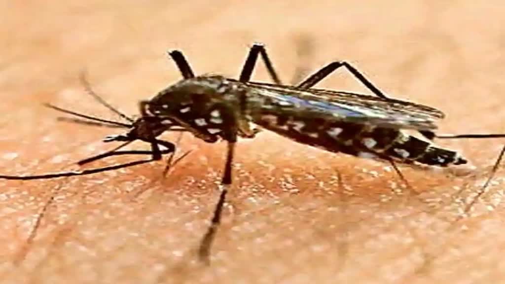 कर्नाटक में मिला जीका वायरस का मामला, 5 साल की बच्ची पॉजिटिव