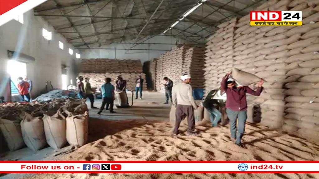 MP में गेहूं खरीदी के लिए पंजीयन शुरू, मोबाइल से घर बैठे करें रजिस्ट्रेशन