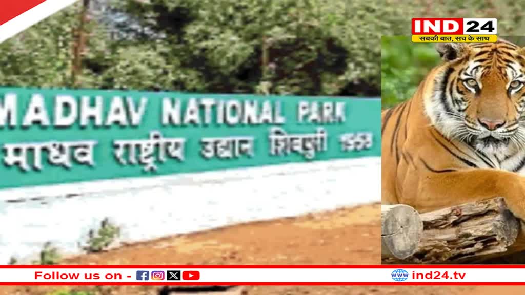 MP का 8वां टाइगर रिजर्व होगा माधव नेशनल पार्क,केंद्र सरकार ने दी मंजूरी