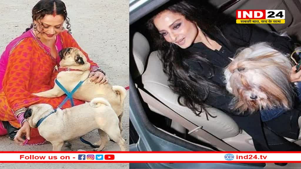 अमिताभ बच्चन और रेखा के बीच ये कैसा संयोग! बिग बी ने सुझाया पेट डॉग का नाम,'पिस्टी'