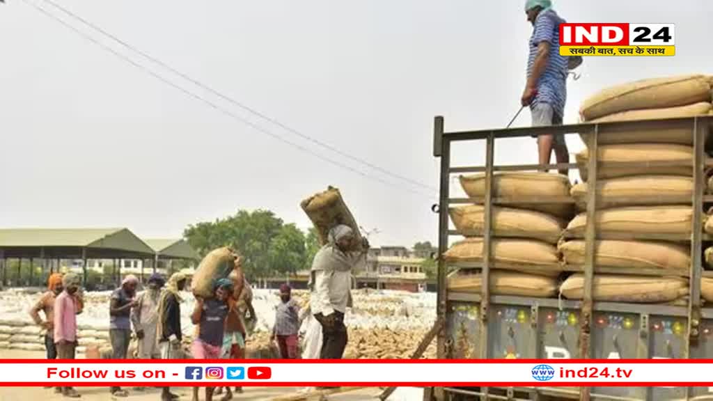 खाद्य महंगाई को लेकर सरकार सतर्क, गेहूं, प्याज, चीनी के निर्यात पर जारी रहेंगे प्रतिबंध