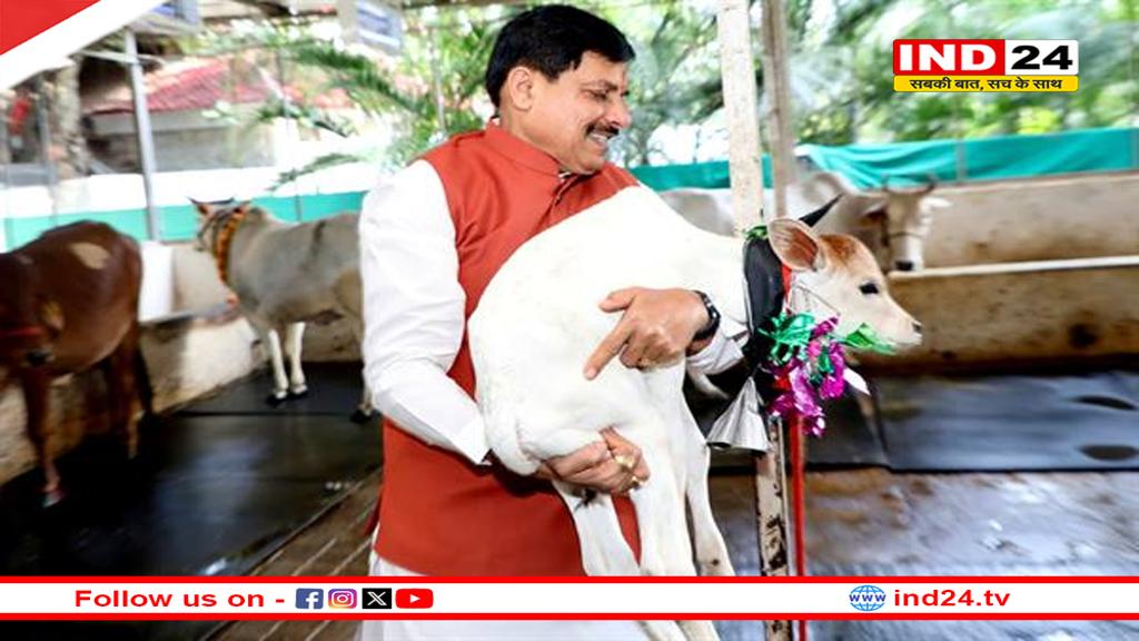 मध्यप्रदेश में दुग्ध उत्पादन से दोगुनी होगी पशुपालक किसानों की आय - मुख्यमंत्री डॉ. मोहन यादव