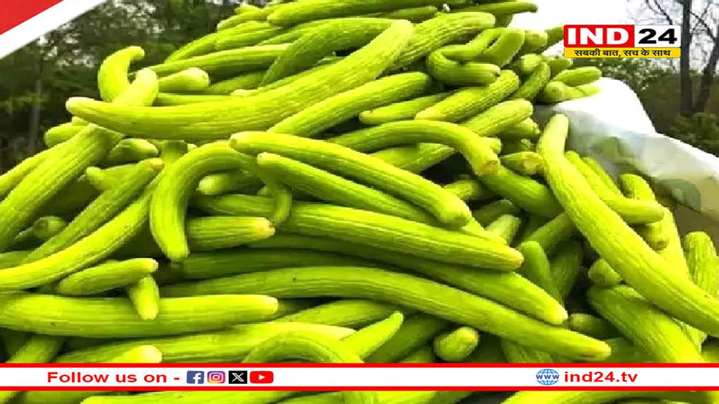 हीट स्ट्रोक से बचाने के साथ ही वेट लॉस में भी मददगार है ककड़ी, गर्मी में जरूर बनाएं डाइट का हिस्सा