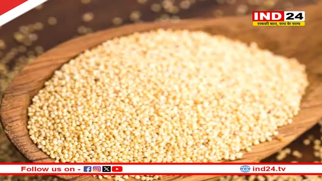 पोषक तत्वों का भंडार है खसखस, जानें इसके गजब के फायदे