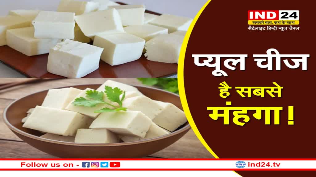 Costly Paneer: इस जानवर के दूध का पनीर होता है सबसे महंगा, क्या आप जानते हैं इसका नाम