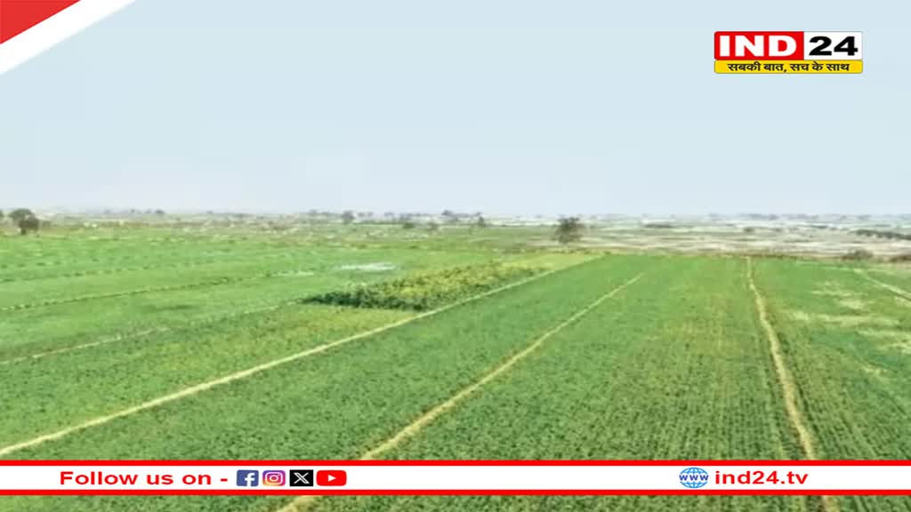 Rajasthan News: राजस्थान में बारिश से प्रदेश के किसानों के खिले चेहरे, फसल की सिंचाई के लिए बचे लाखों रुपये