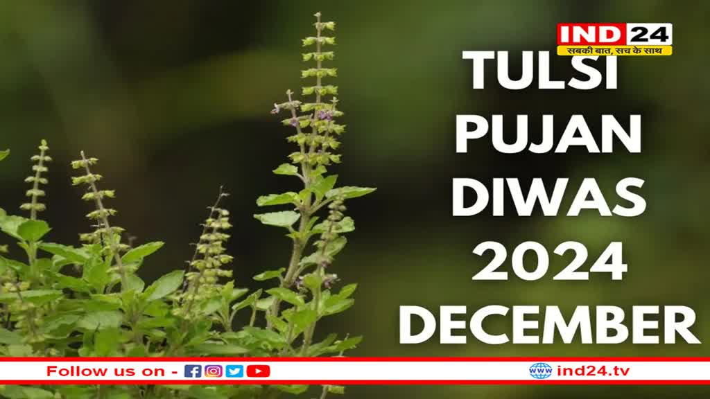 तुलसी पूजन दिवस, पूरी होंगी सभी मनोकामनाएं 