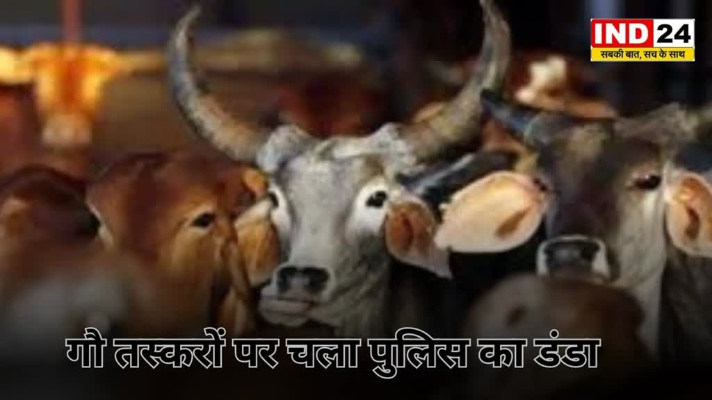 CG NEWS : गौ तस्करों  ने ट्रक में भरकर ले जा रहे थे गाय, दो की दम घुटने से हुई मौत...