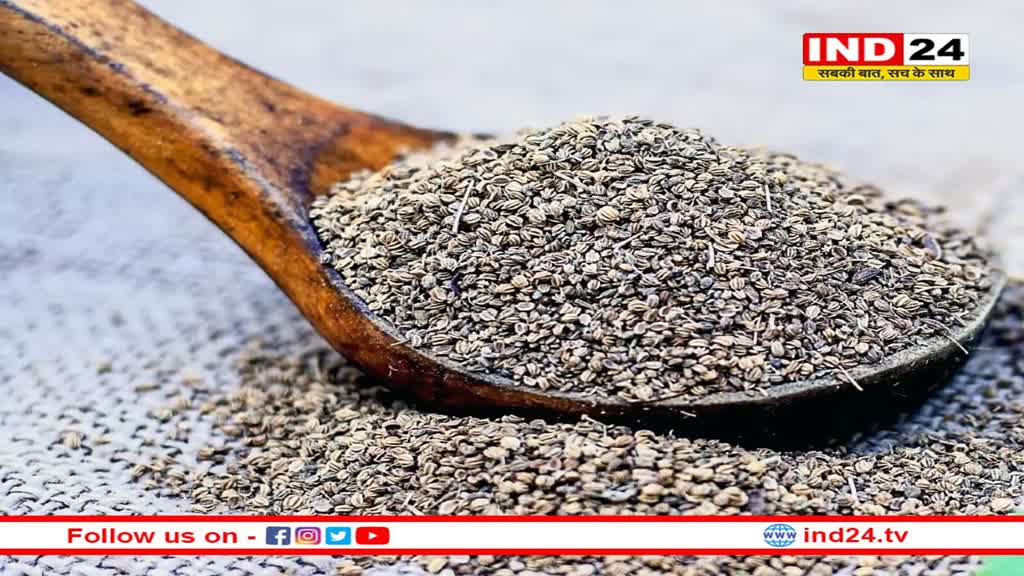 Ajwain Benefits: सेहत के लिए वरदान के समान है अजवाइन, जानें इसके स्वास्थ्य संबंधी फायदे 