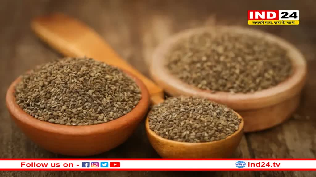 सर्दियों में अजवाइन का सेवन है अमृत समान, कब और कैसे करें इस्तेमाल?