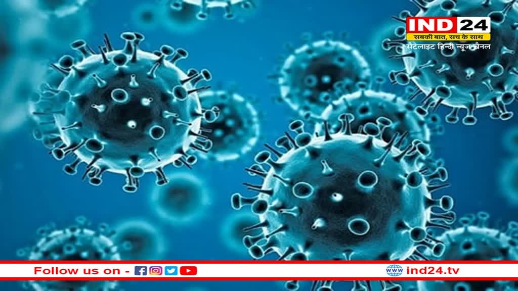 Covid 19: चीन के सीफूड मार्केट में बिकने वाले रेकून कुत्ते से फैला कोरोना, शोधकर्ताओं ने किया दावा