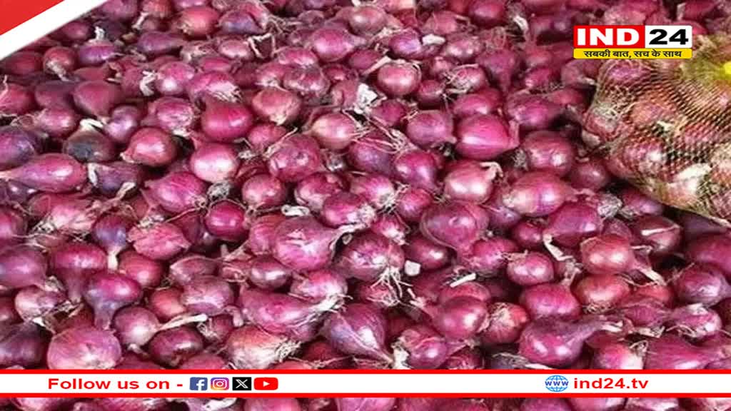  प्याज की कीमतों में आएगी गिरावट! सरकार खरीदेगी 5 लाख टन प्याज