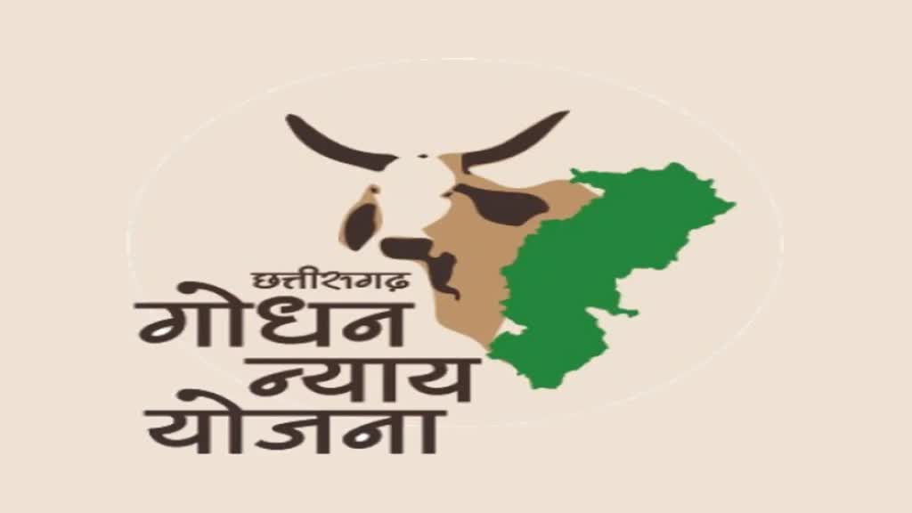 CG NEWS : गोधन न्याय योजना की समीक्षा बैठक आज,वीडियों कॉन्फ्रेसिंग के माध्यम से होगी बैठक,