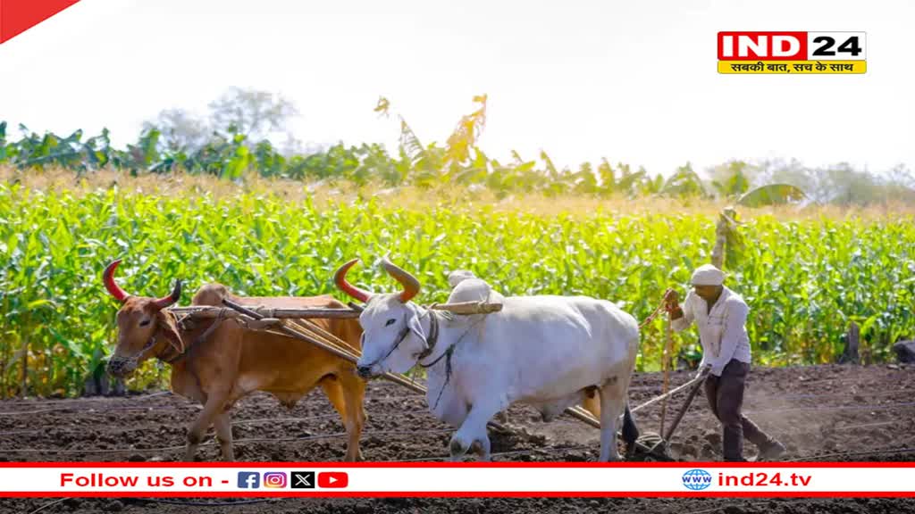 23 दिसंबर को क्यों मनाया जाता है राष्ट्रीय किसान दिवस, जानें इतिहास
