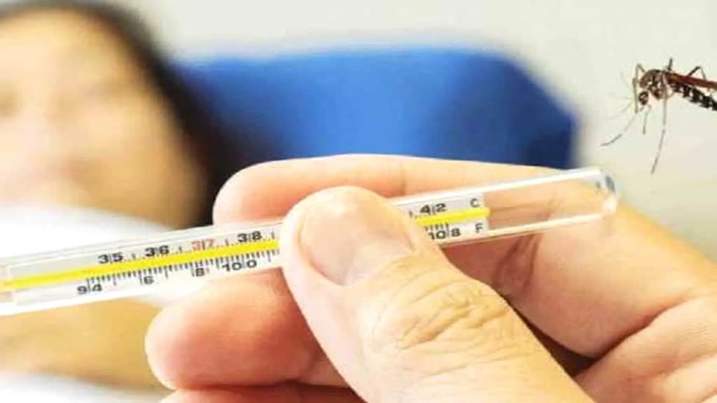 छत्तीसगढ़ में स्वाइन-फ्लू को लेकर अलर्ट, हेल्पलाइन नंबर किया गया जारी