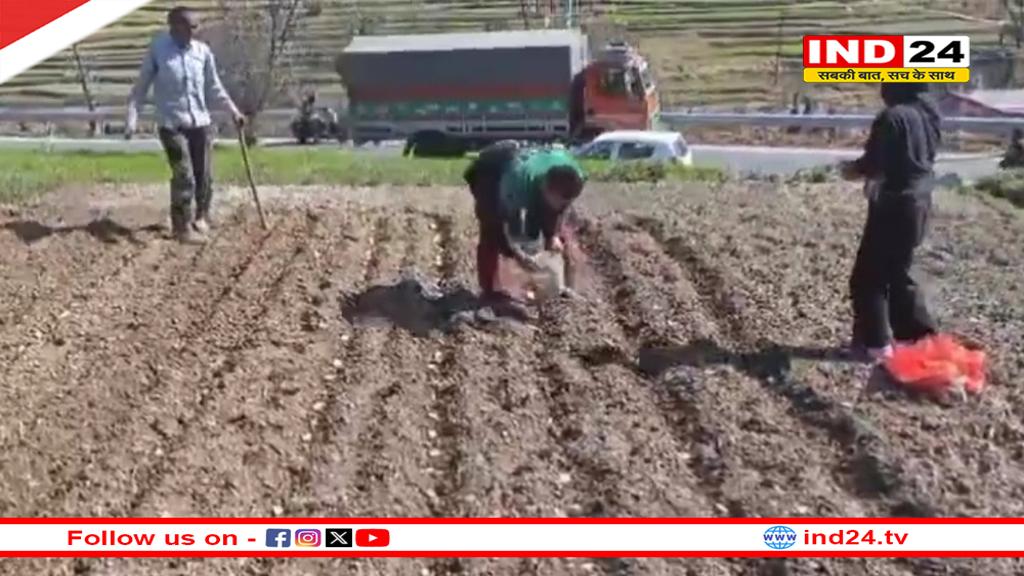 बारिश न होने से सूखने के कगार में खेती, किसानों ने सरकार से की कृषि ऋण माफ करने की मांग