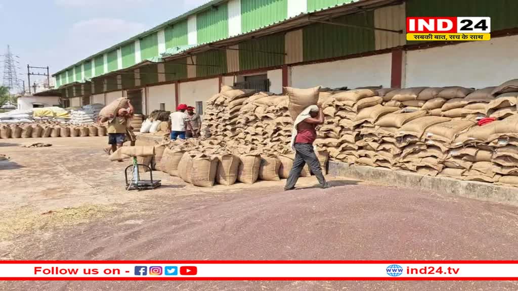 सरसों खरीदी के बनाए गए 22 केन्द्र, लेकिन 14 केन्द्रों पर ही पहुंचे किसान