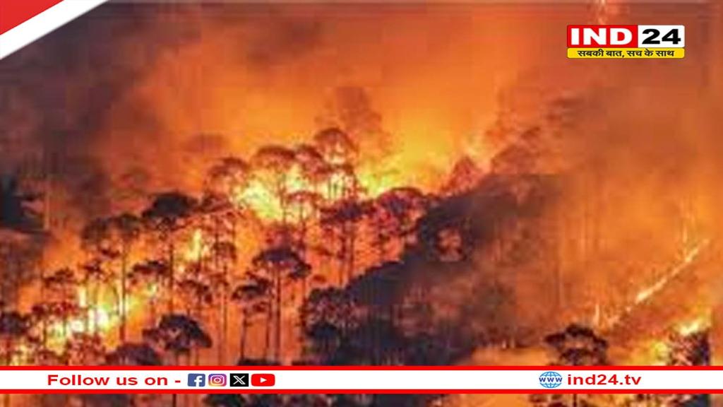 लड़ीधुरा के जंगलो में लगी भीषण आग, वन संपदा को पहुंचा भारी नुकसान
