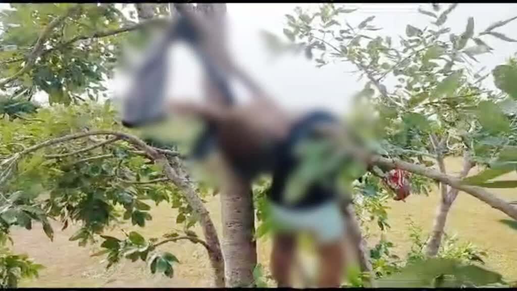 CG NEWS : कलयुगी पिता ने अपने 10 माह के बच्चे को घुमाने के बहाने जंगल में ले जाकर फांसी पर लटकाया